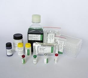 CGMMV Complete kit 960, on request