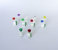 GVA Grapevine virus A Conjugate