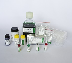 TMV Complete kit 96
