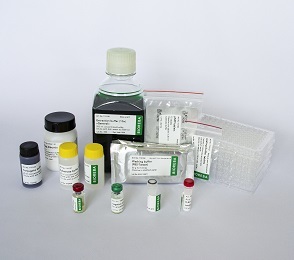 tobacco mosaic virus test kit TMV Complete kit 96