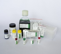 CYSDV Complete kit 480