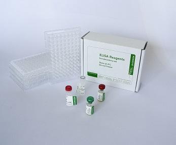 ZYMV Reagent set 960